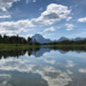 Meet your Posher, Ella